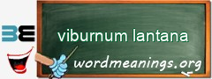 WordMeaning blackboard for viburnum lantana